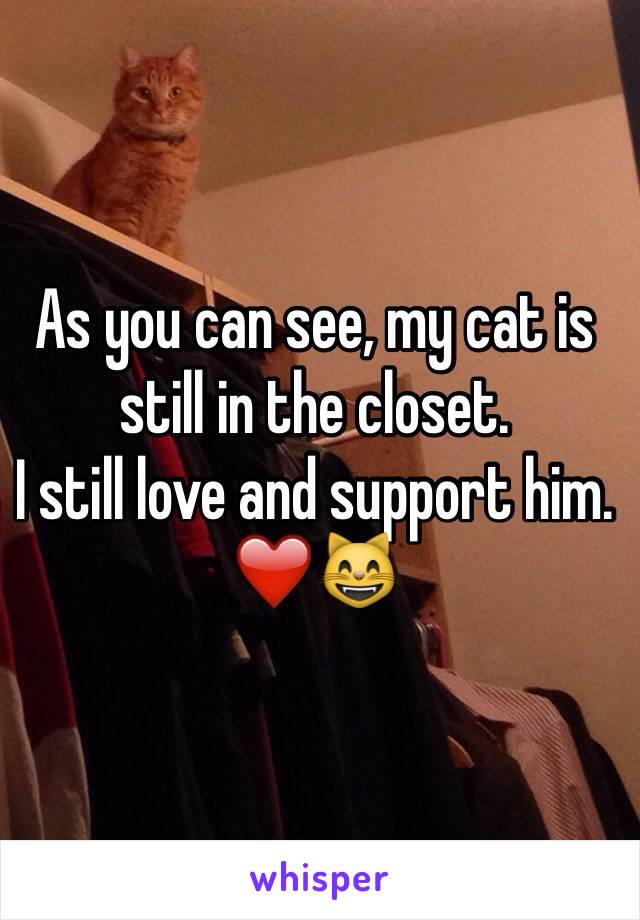 As you can see, my cat is still in the closet. 
I still love and support him. 
❤️😸