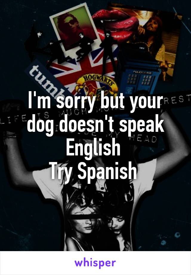 I'm sorry but your dog doesn't speak English 
Try Spanish 