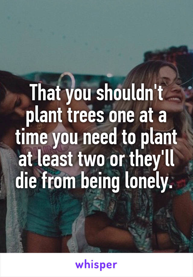 That you shouldn't plant trees one at a time you need to plant at least two or they'll die from being lonely. 