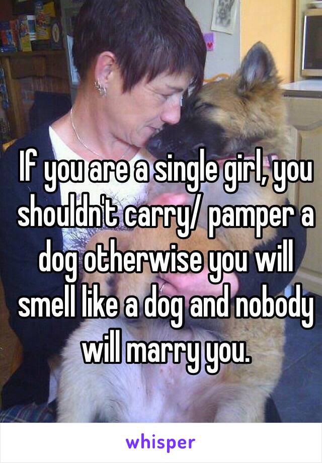 If you are a single girl, you shouldn't carry/ pamper a dog otherwise you will smell like a dog and nobody will marry you. 