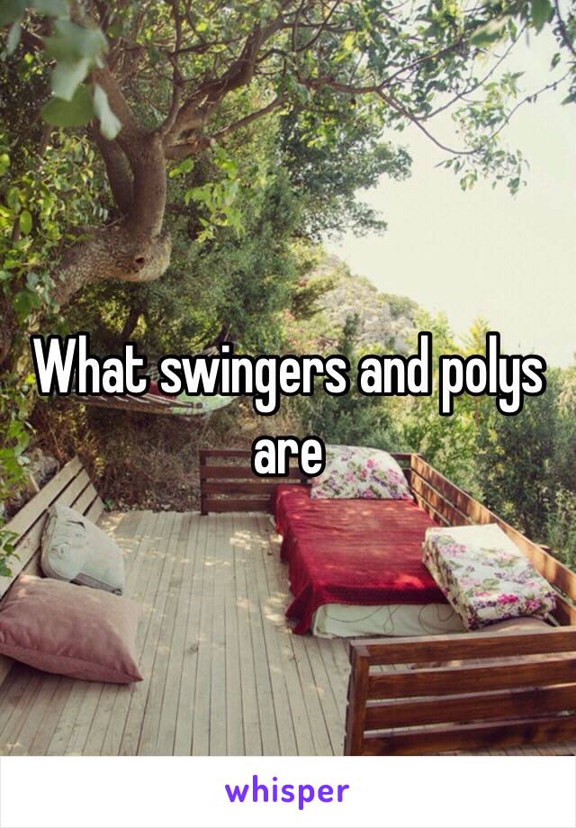 What swingers and polys are 