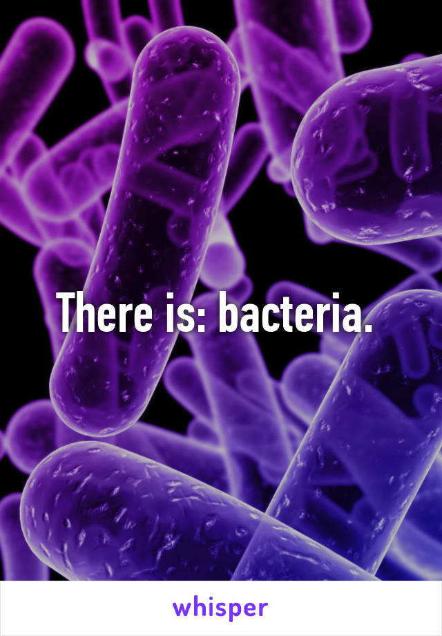 There is: bacteria. 