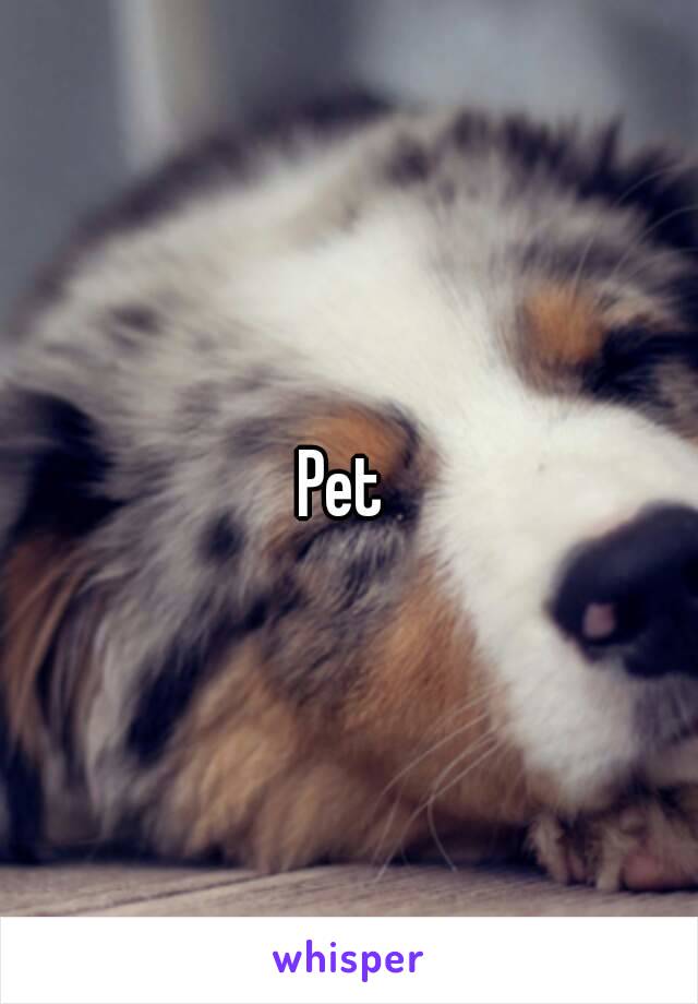 Pet 