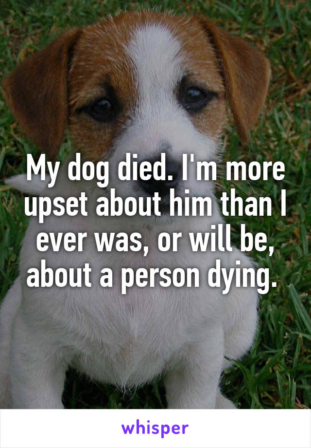 My dog died. I'm more upset about him than I ever was, or will be, about a person dying. 