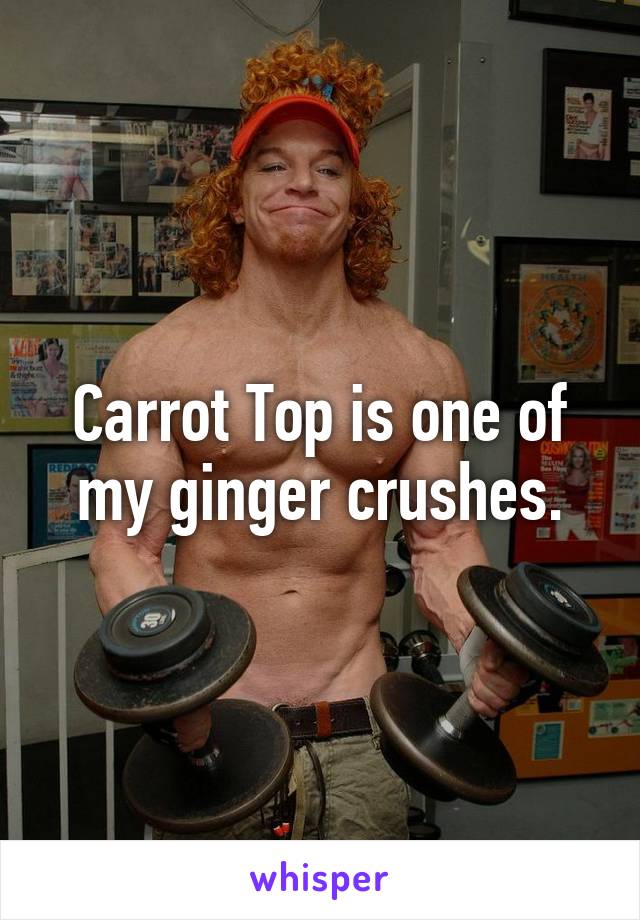 Carrot Top is one of my ginger crushes.