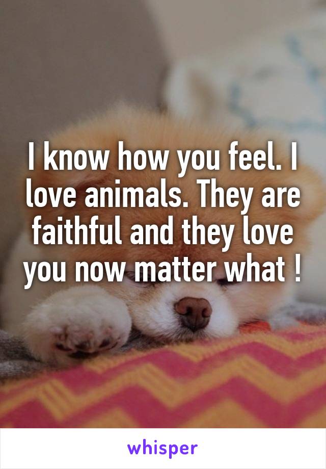 I know how you feel. I love animals. They are faithful and they love you now matter what ! 