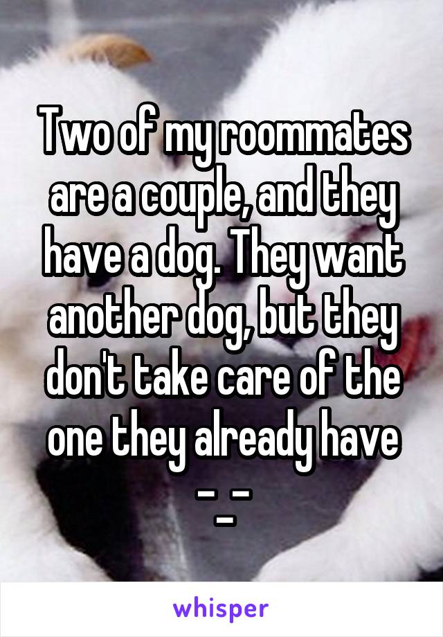 Two of my roommates are a couple, and they have a dog. They want another dog, but they don't take care of the one they already have -_-