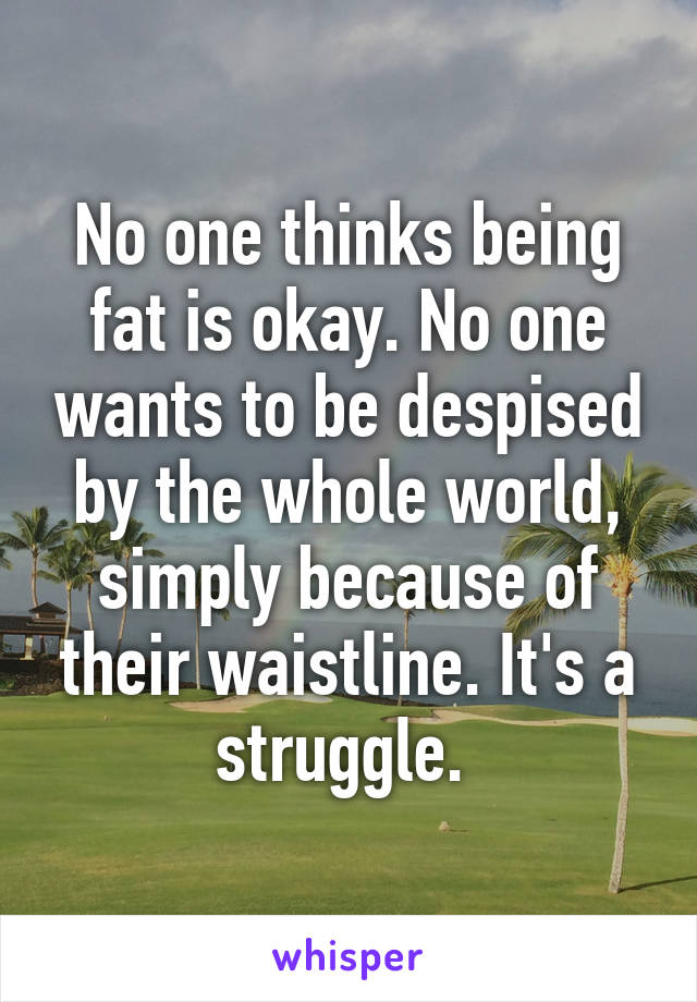 No one thinks being fat is okay. No one wants to be despised by the whole world, simply because of their waistline. It's a struggle. 