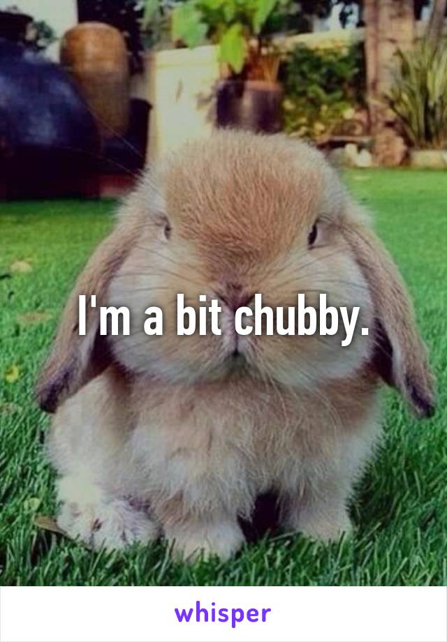 I'm a bit chubby.