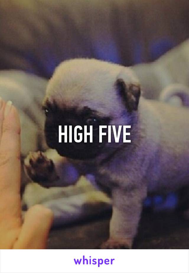 HIGH FIVE