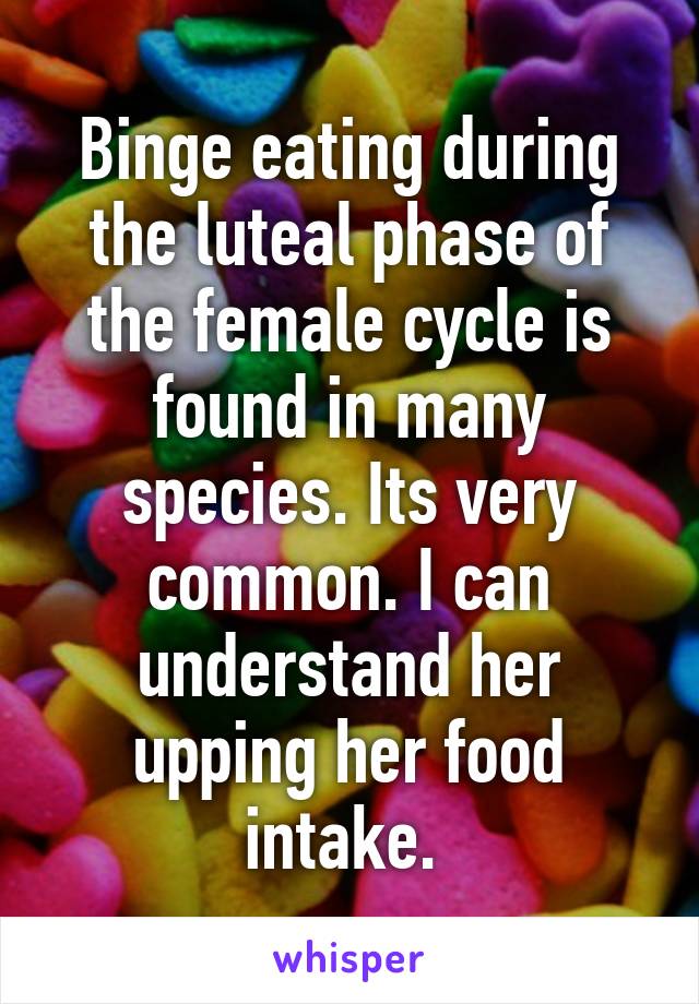 Binge eating during the luteal phase of the female cycle is found in many species. Its very common. I can understand her upping her food intake. 