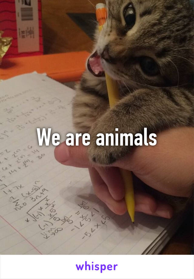 We are animals