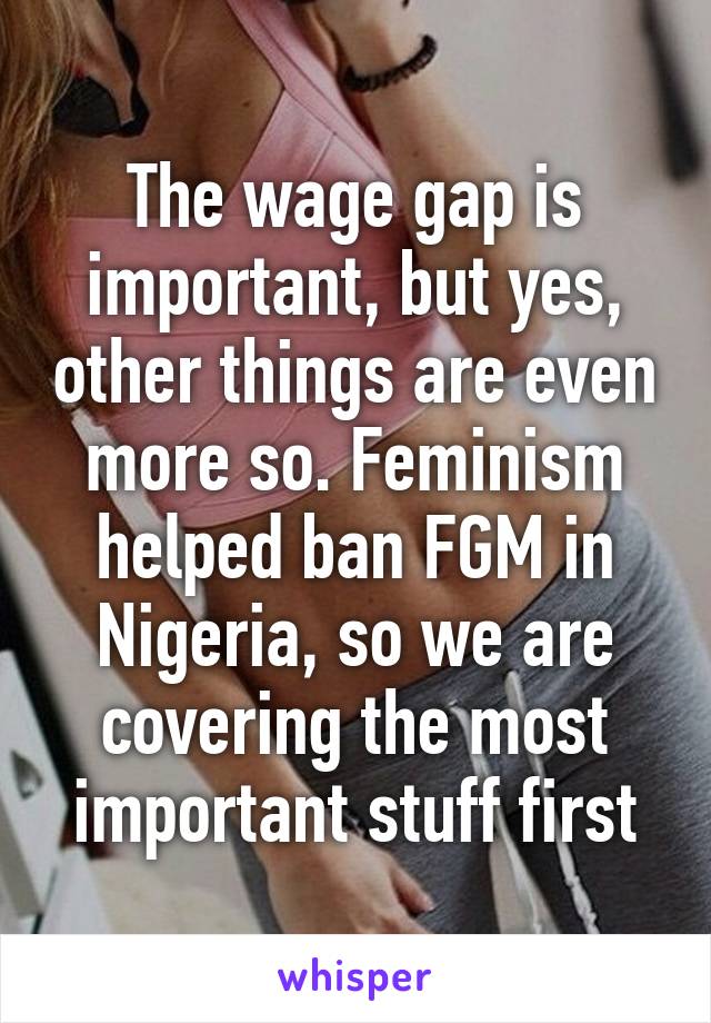 The wage gap is important, but yes, other things are even more so. Feminism helped ban FGM in Nigeria, so we are covering the most important stuff first