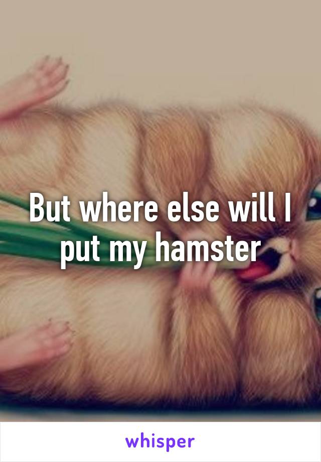 But where else will I put my hamster