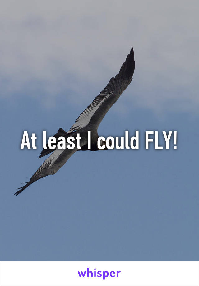 At least I could FLY!