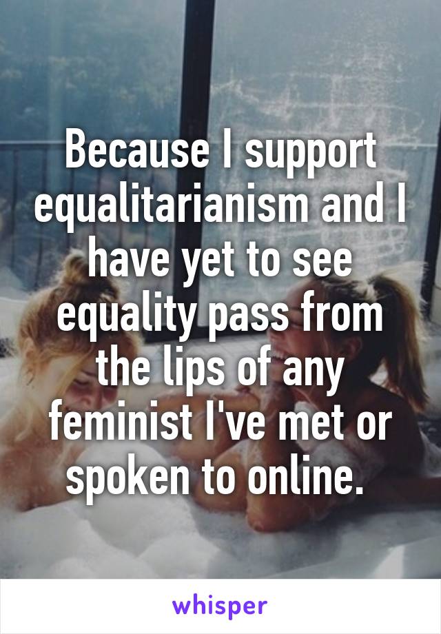 Because I support equalitarianism and I have yet to see equality pass from the lips of any feminist I've met or spoken to online. 