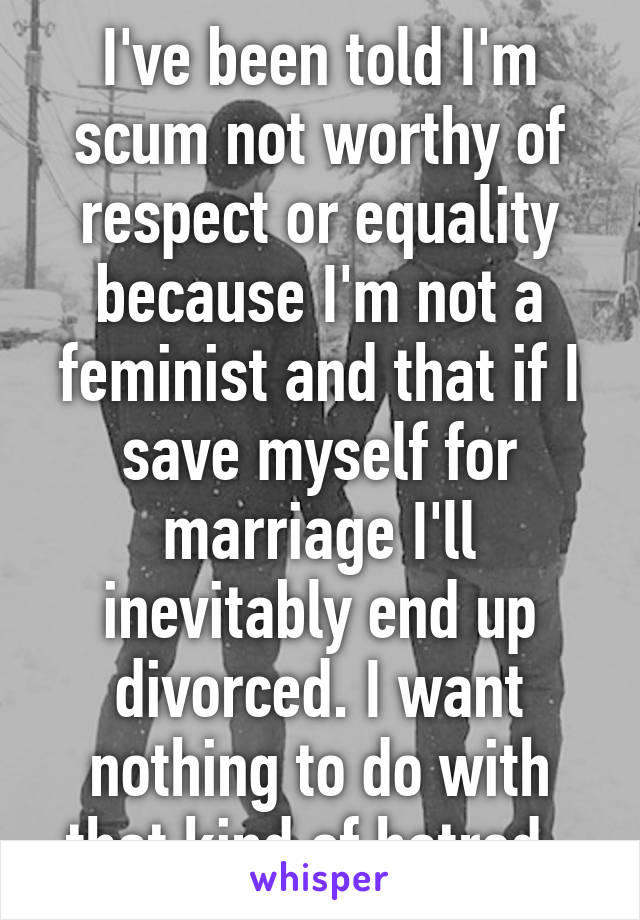 I've been told I'm scum not worthy of respect or equality because I'm not a feminist and that if I save myself for marriage I'll inevitably end up divorced. I want nothing to do with that kind of hatred. 