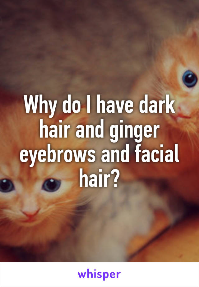 Why do I have dark hair and ginger eyebrows and facial hair?