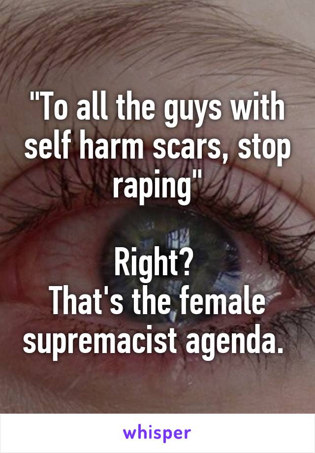 "To all the guys with self harm scars, stop raping"

Right? 
That's the female supremacist agenda. 