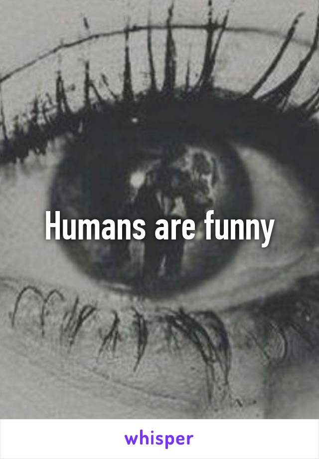 Humans are funny