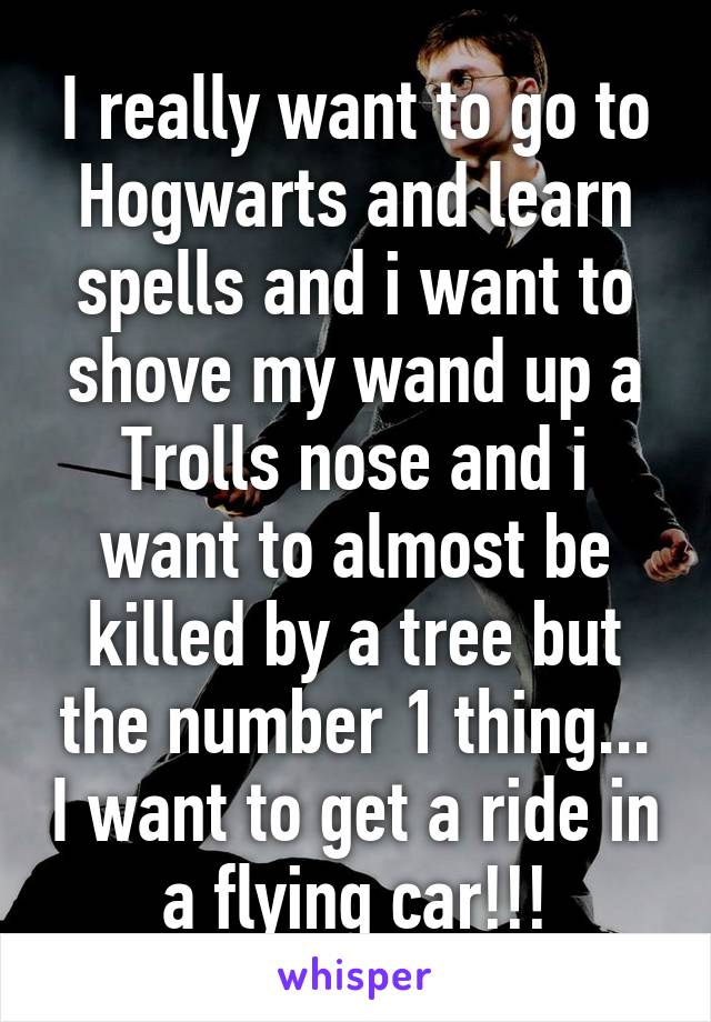 I really want to go to Hogwarts and learn spells and i want to shove my wand up a Trolls nose and i want to almost be killed by a tree but the number 1 thing... I want to get a ride in a flying car!!!