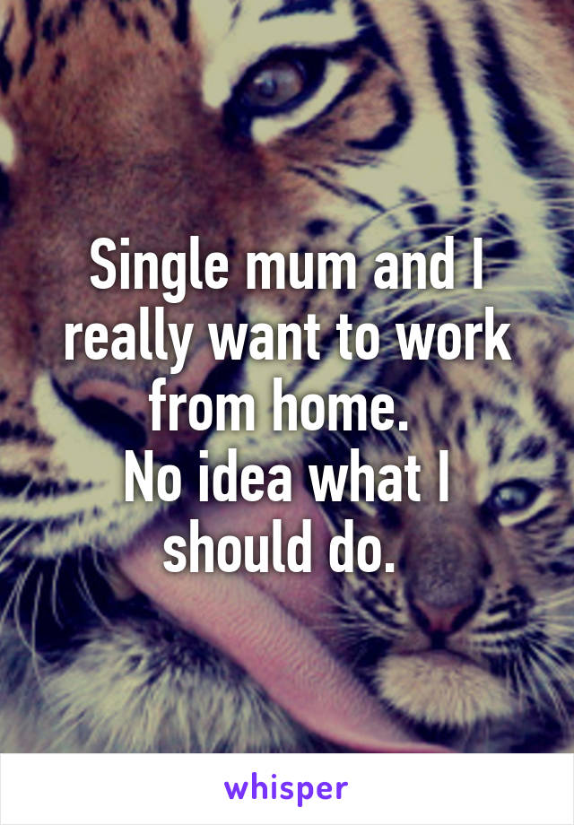 Single mum and I really want to work from home. 
No idea what I should do. 