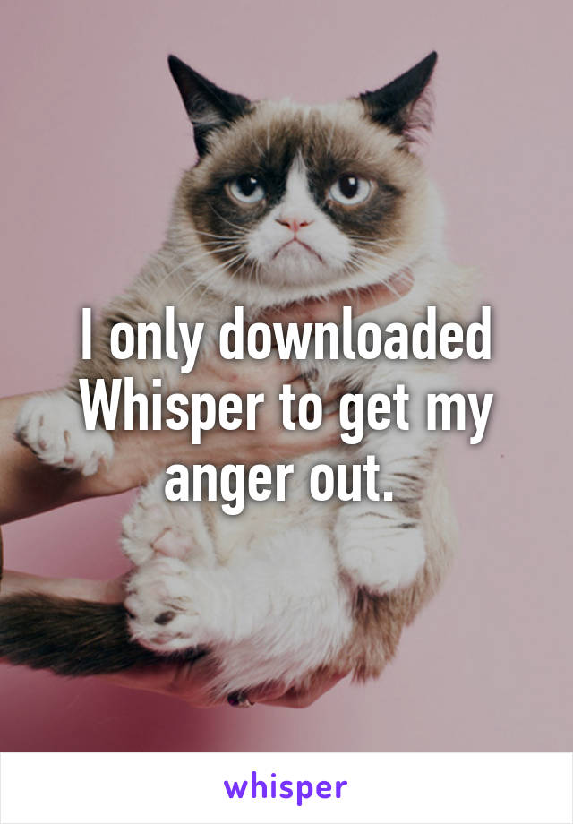 I only downloaded Whisper to get my anger out. 