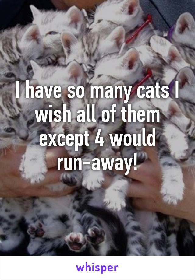 I have so many cats I wish all of them except 4 would run-away!
