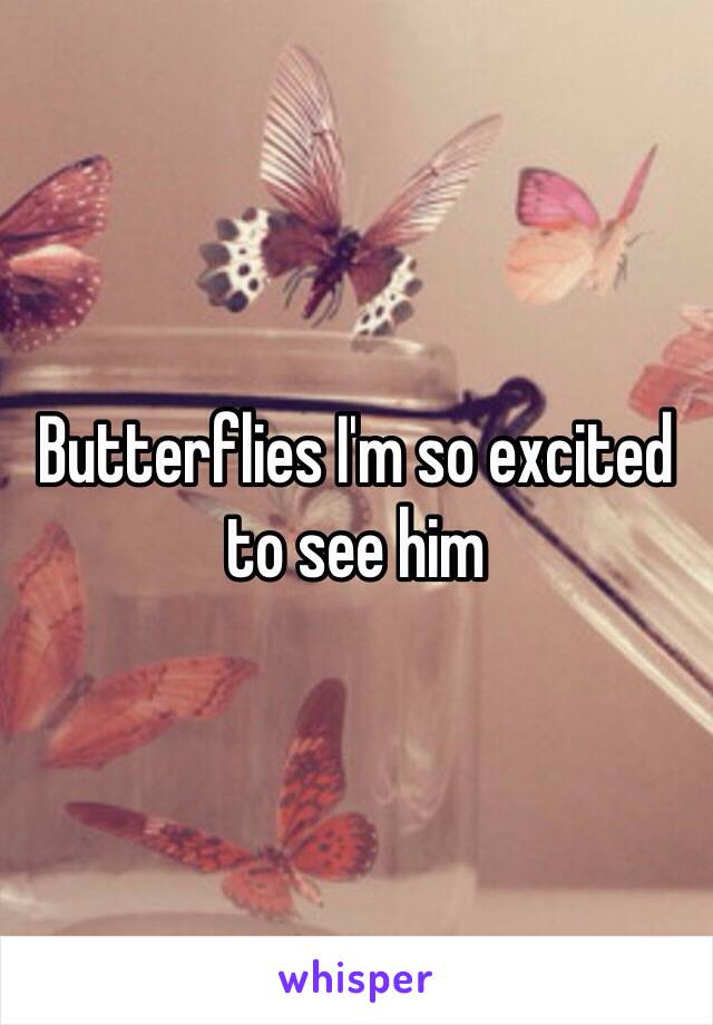 Butterflies I'm so excited to see him