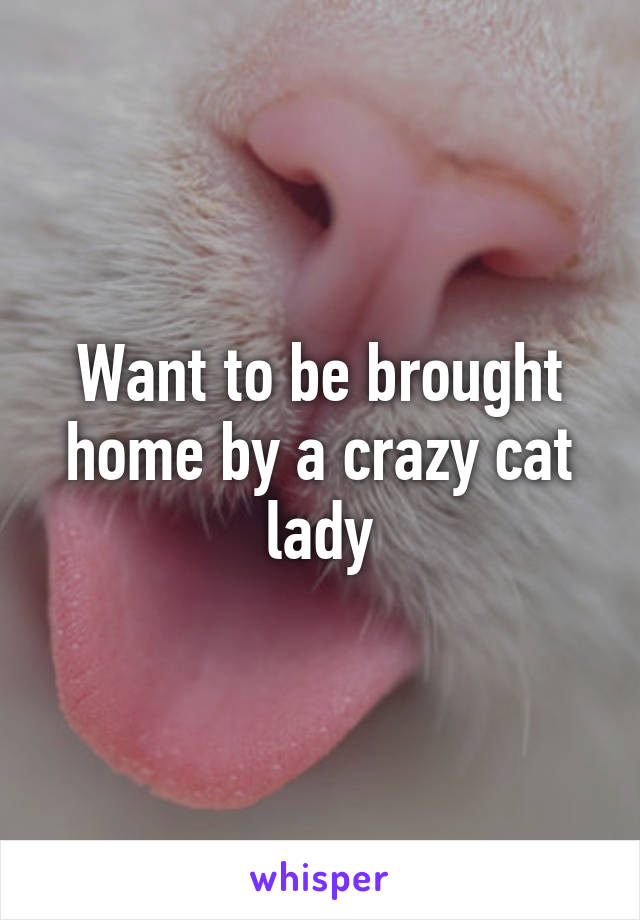 Want to be brought home by a crazy cat lady