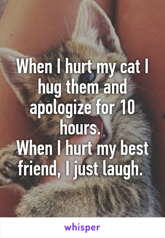 When I hurt my cat I hug them and apologize for 10 hours. 
When I hurt my best friend, I just laugh. 