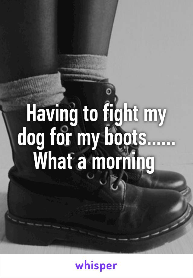 Having to fight my dog for my boots...... What a morning 