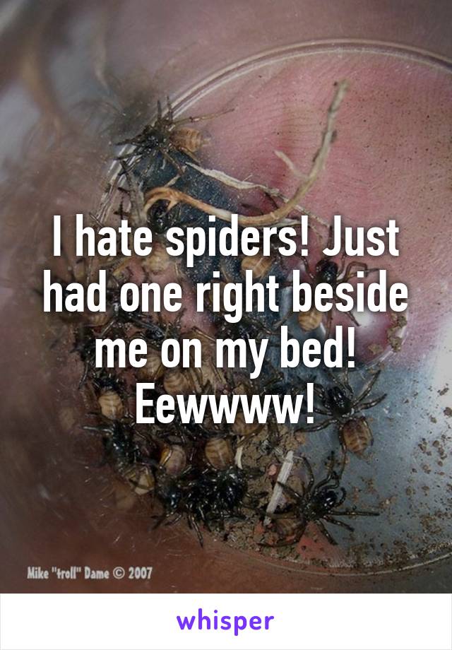 I hate spiders! Just had one right beside me on my bed! Eewwww!