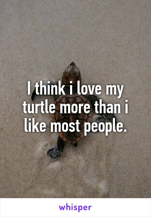 I think i love my turtle more than i like most people.