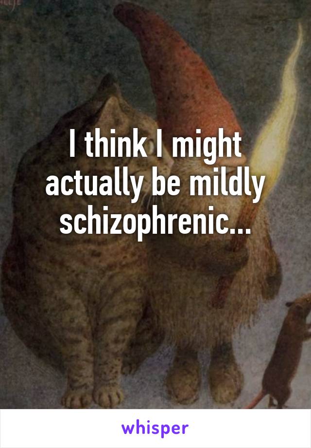 I think I might actually be mildly schizophrenic...

