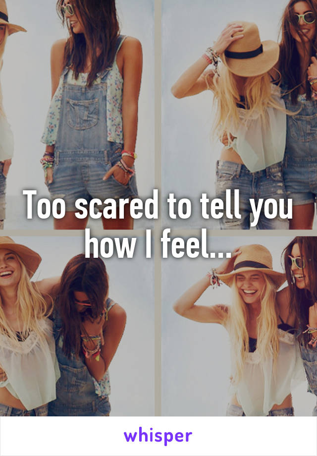 Too scared to tell you how I feel...