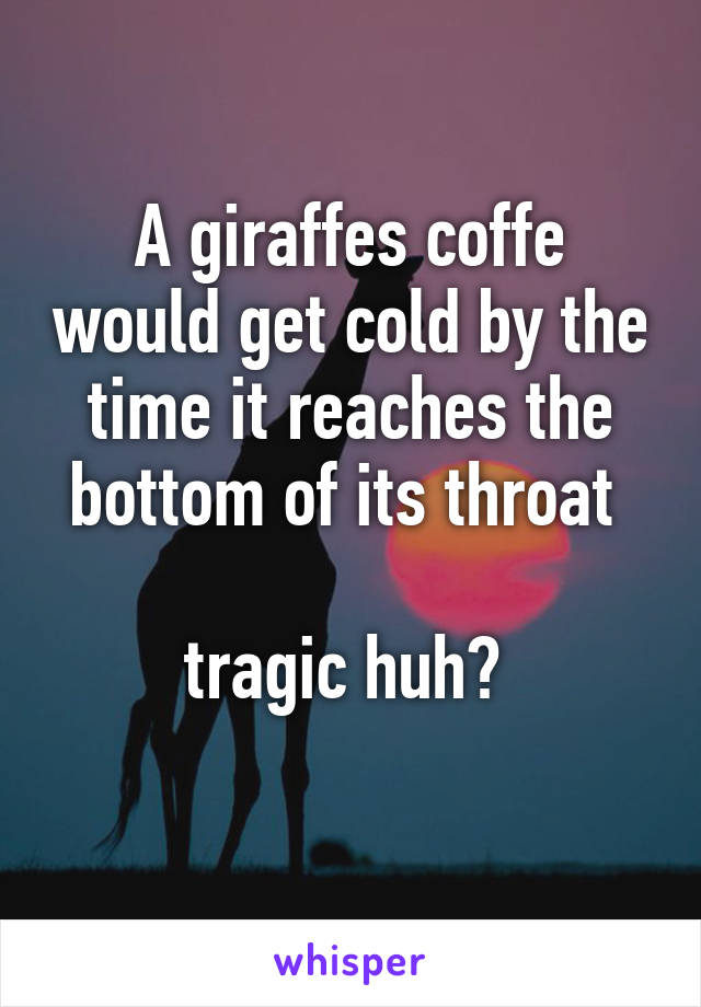 A giraffes coffe would get cold by the time it reaches the bottom of its throat 

tragic huh? 
