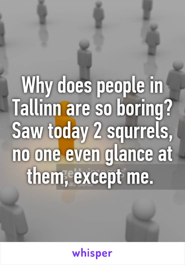 Why does people in Tallinn are so boring? Saw today 2 squrrels, no one even glance at them, except me. 