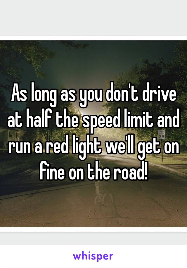 As long as you don't drive at half the speed limit and run a red light we'll get on fine on the road!