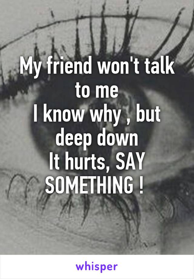 My friend won't talk to me
I know why , but deep down
It hurts, SAY SOMETHING ! 
