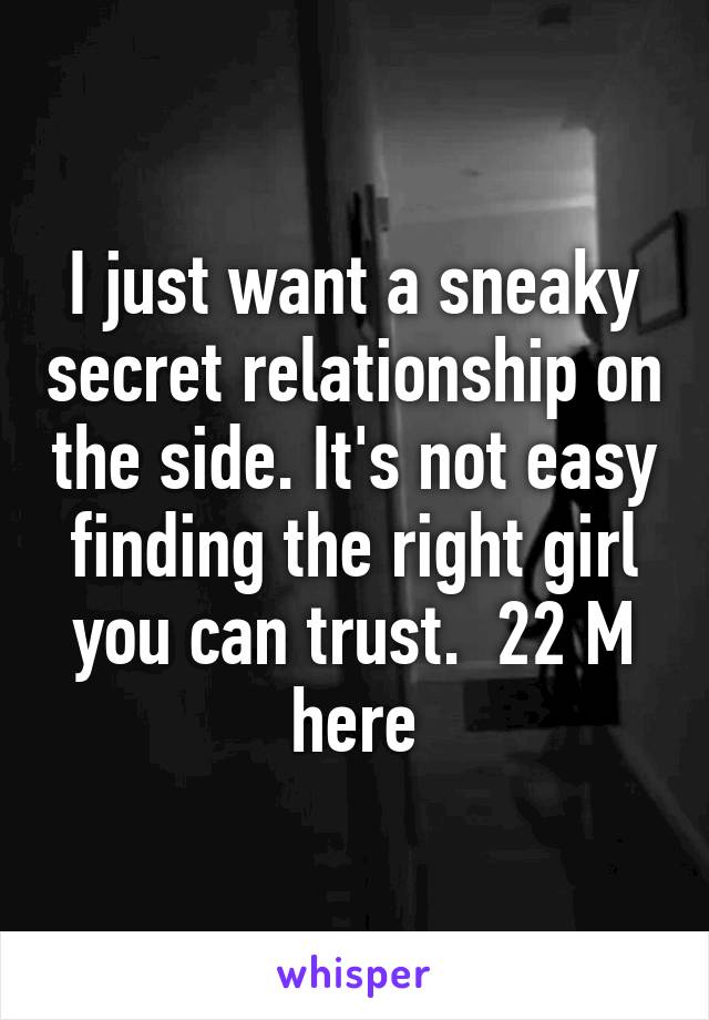 I just want a sneaky secret relationship on the side. It's not easy finding the right girl you can trust.  22 M here