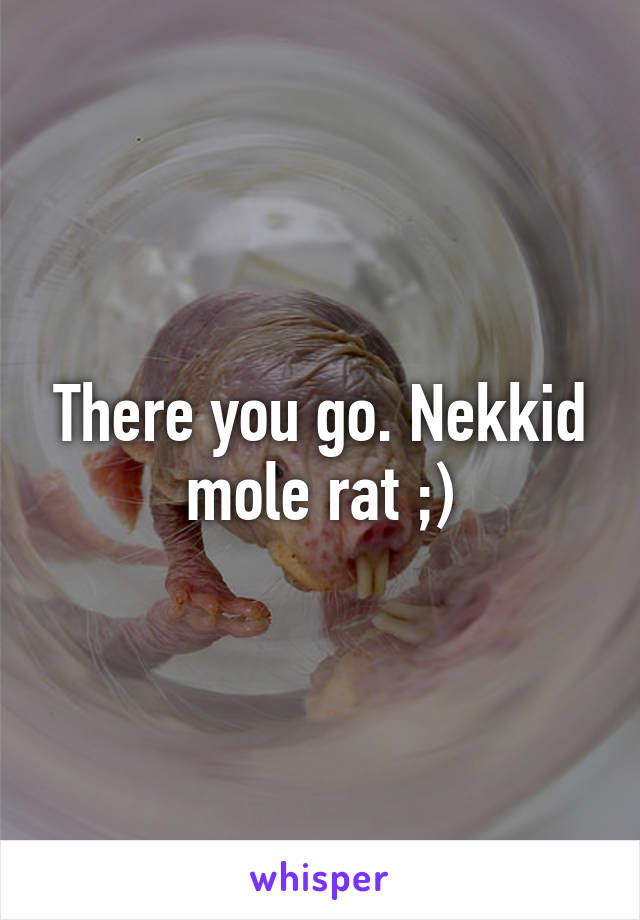 There you go. Nekkid mole rat ;)