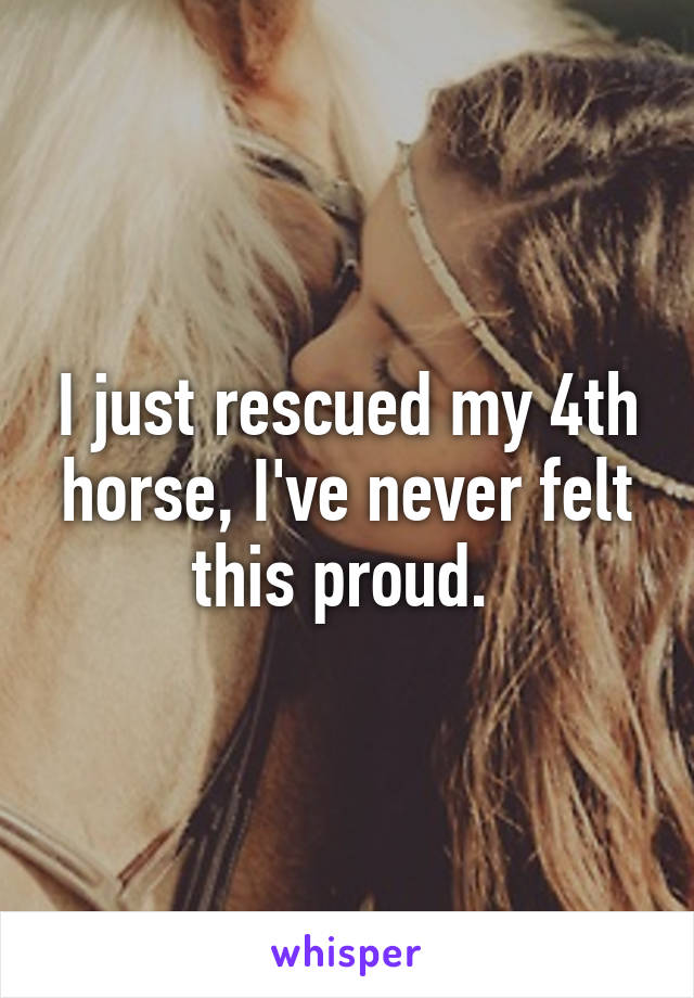 I just rescued my 4th horse, I've never felt this proud. 