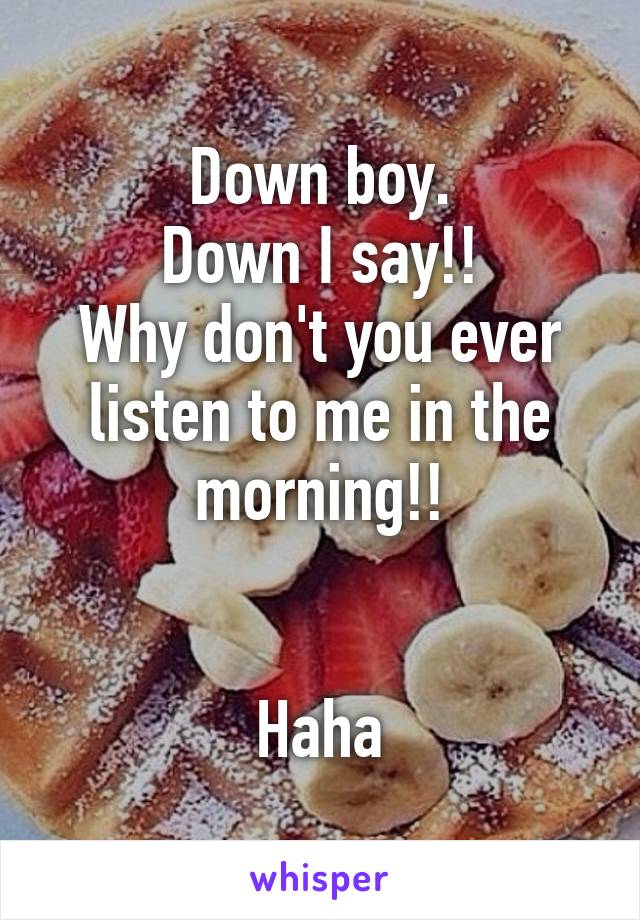 Down boy.
Down I say!!
Why don't you ever listen to me in the morning!!


Haha