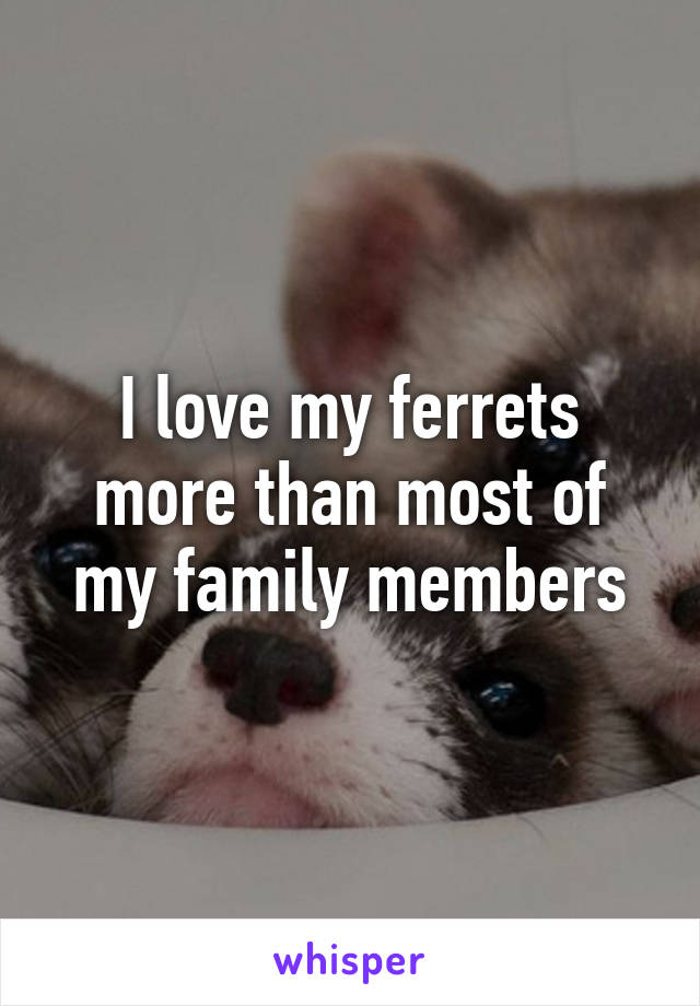 I love my ferrets more than most of my family members
