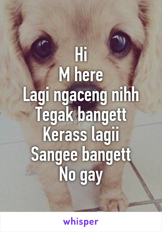 Hi
M here
Lagi ngaceng nihh
Tegak bangett
Kerass lagii
Sangee bangett
No gay