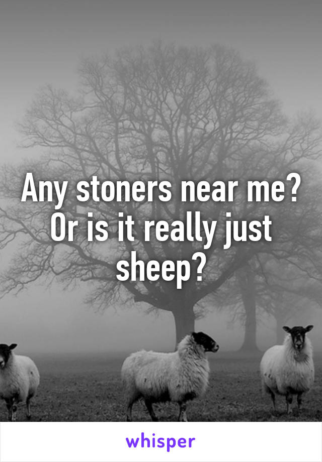 Any stoners near me? Or is it really just sheep?
