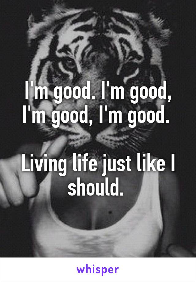 I'm good. I'm good, I'm good, I'm good. 

Living life just like I should. 