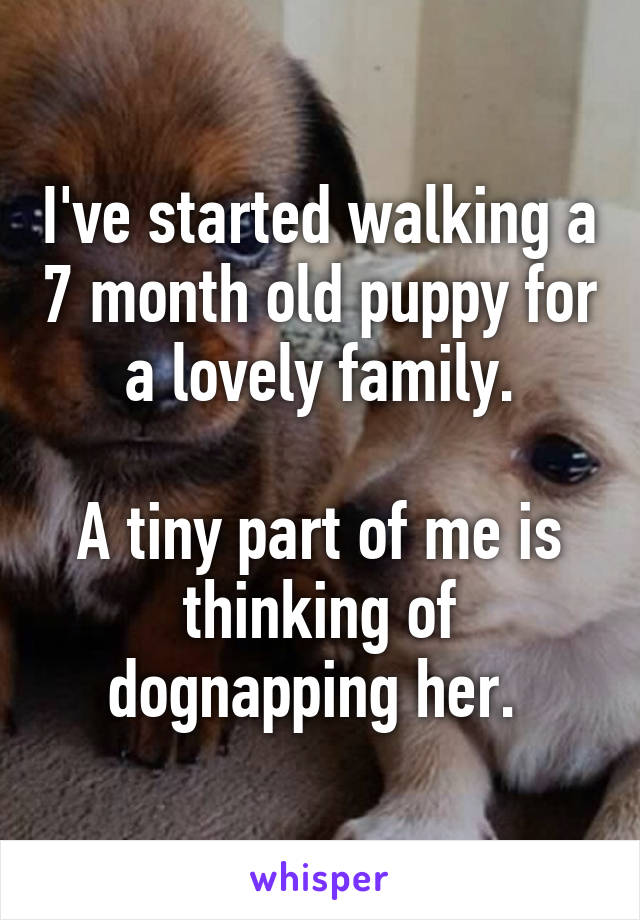 I've started walking a 7 month old puppy for a lovely family.

A tiny part of me is thinking of dognapping her. 