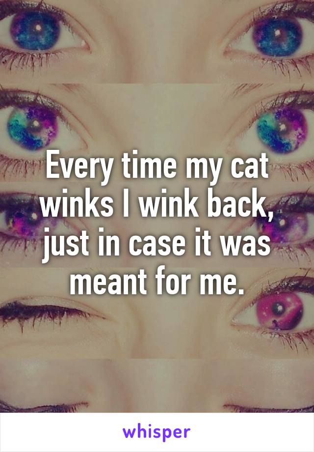Every time my cat winks I wink back, just in case it was meant for me.